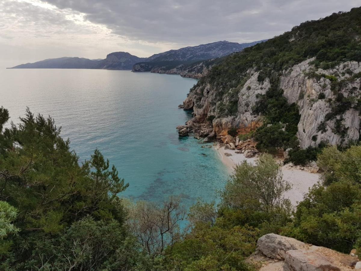 Appartamento Limone Cala Gonone Zewnętrze zdjęcie